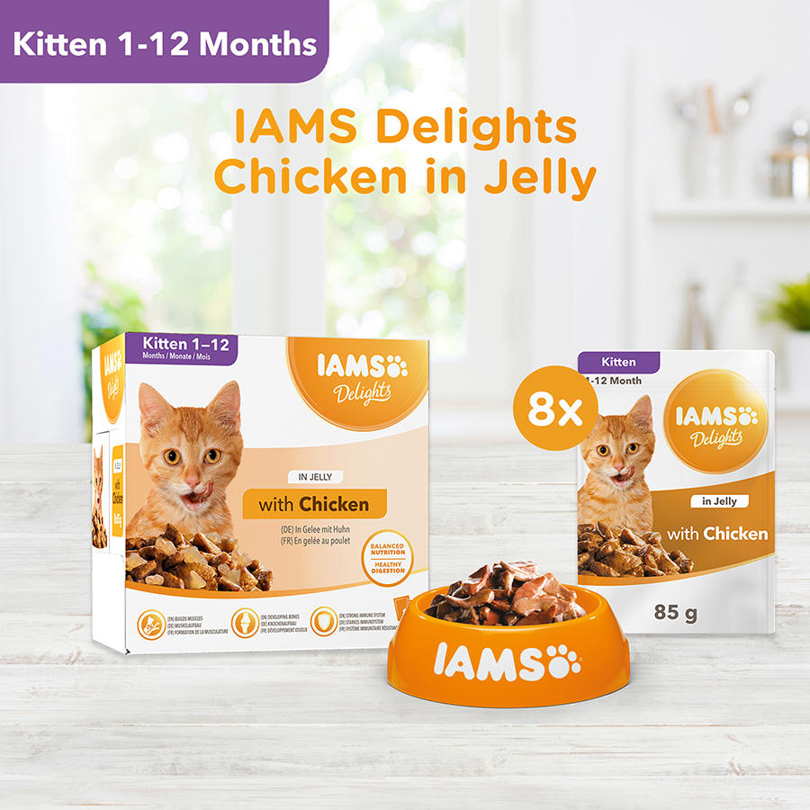 Iams Delights Kitten Chicken In Jelly 8x85g Cat Iams Delights Kitten Chicken In Jelly 8x85g - Image 3