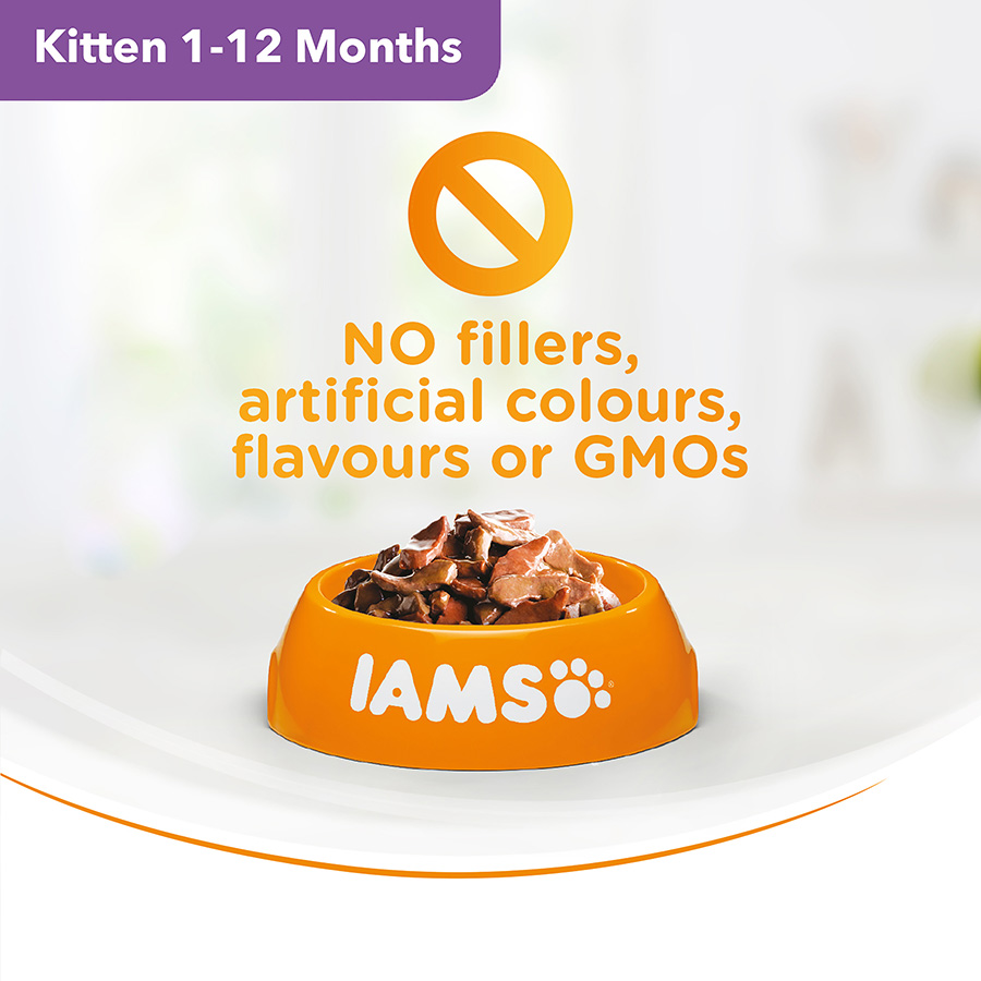 Iams Delights Kitten Chicken In Jelly 8x85g Cat Iams Delights Kitten Chicken In Jelly 8x85g - Image 4