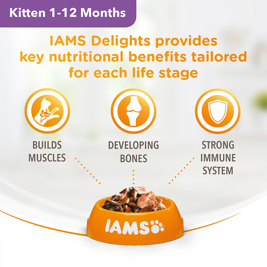 Iams Delights Kitten Chicken In Jelly 8x85g Cat Iams Delights Kitten Chicken In Jelly 8x85g - Image 5