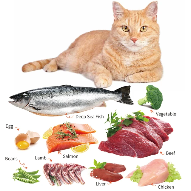 Gibo Cat Pouch Selection Mixed Wet Food 12x85g Cat Gibo Cat Pouch Selection Mixed Wet Food 12x85g - Image 2