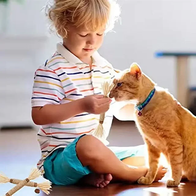 TD Matatabi Silvervine Sticks Toy Cat TD Matatabi Silvervine Sticks Toy - Image 8