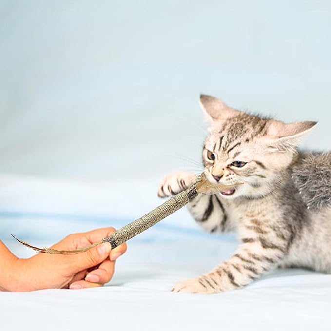 TD Matatabi Silvervine Sticks Toy Cat TD Matatabi Silvervine Sticks Toy - Image 14