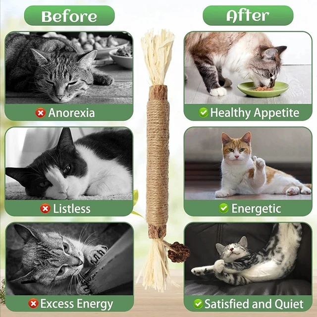 TD Matatabi Silvervine Sticks Toy Cat TD Matatabi Silvervine Sticks Toy - Image 10