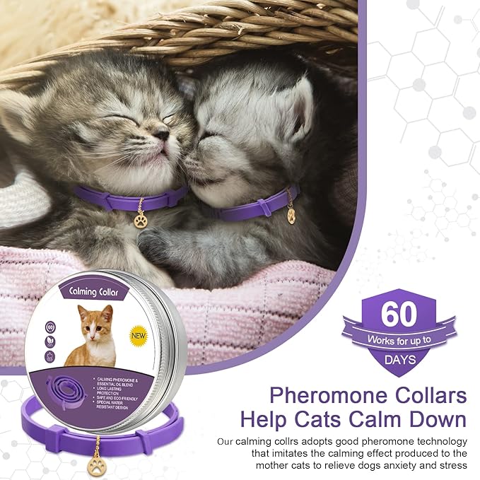 TD Calming Cat Collar Apparel, Leash Collar, Harness & BackPack TD Calming Cat Collar - Image 2