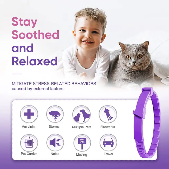 TD Calming Cat Collar Apparel, Leash Collar, Harness & BackPack TD Calming Cat Collar - Image 3
