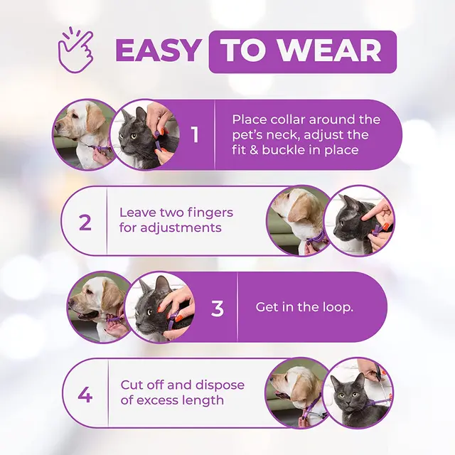 TD Calming Cat Collar Apparel, Leash Collar, Harness & BackPack TD Calming Cat Collar - Image 4