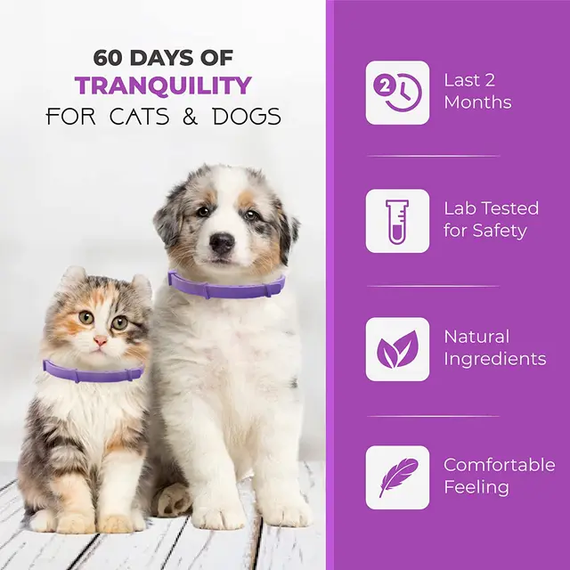 TD Calming Cat Collar Apparel, Leash Collar, Harness & BackPack TD Calming Cat Collar - Image 5