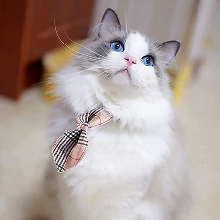 TD Cat Necktie Adjustable Collar Apparel, Leash Collar, Harness & BackPack TD Cat Necktie Adjustable Collar - Image 20