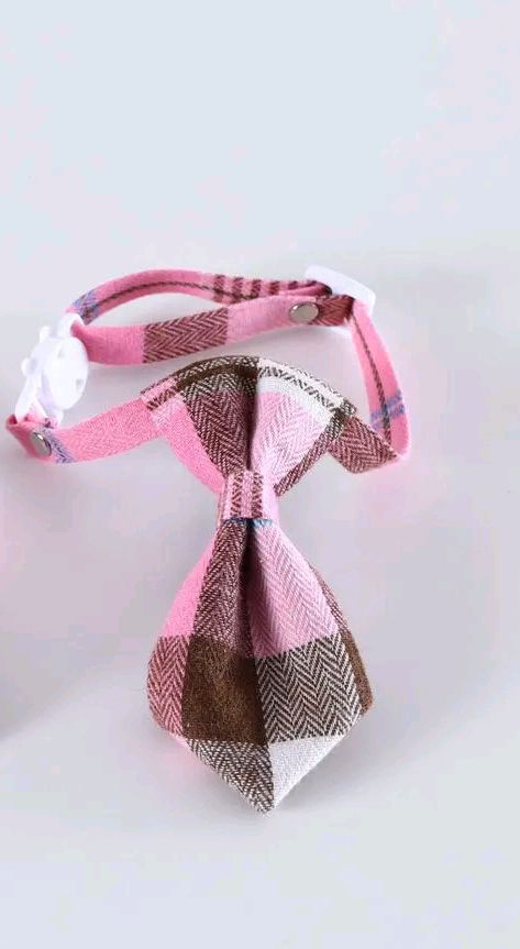 TD Cat Necktie Adjustable Collar Apparel, Leash Collar, Harness & BackPack TD Cat Necktie Adjustable Collar - Image 14