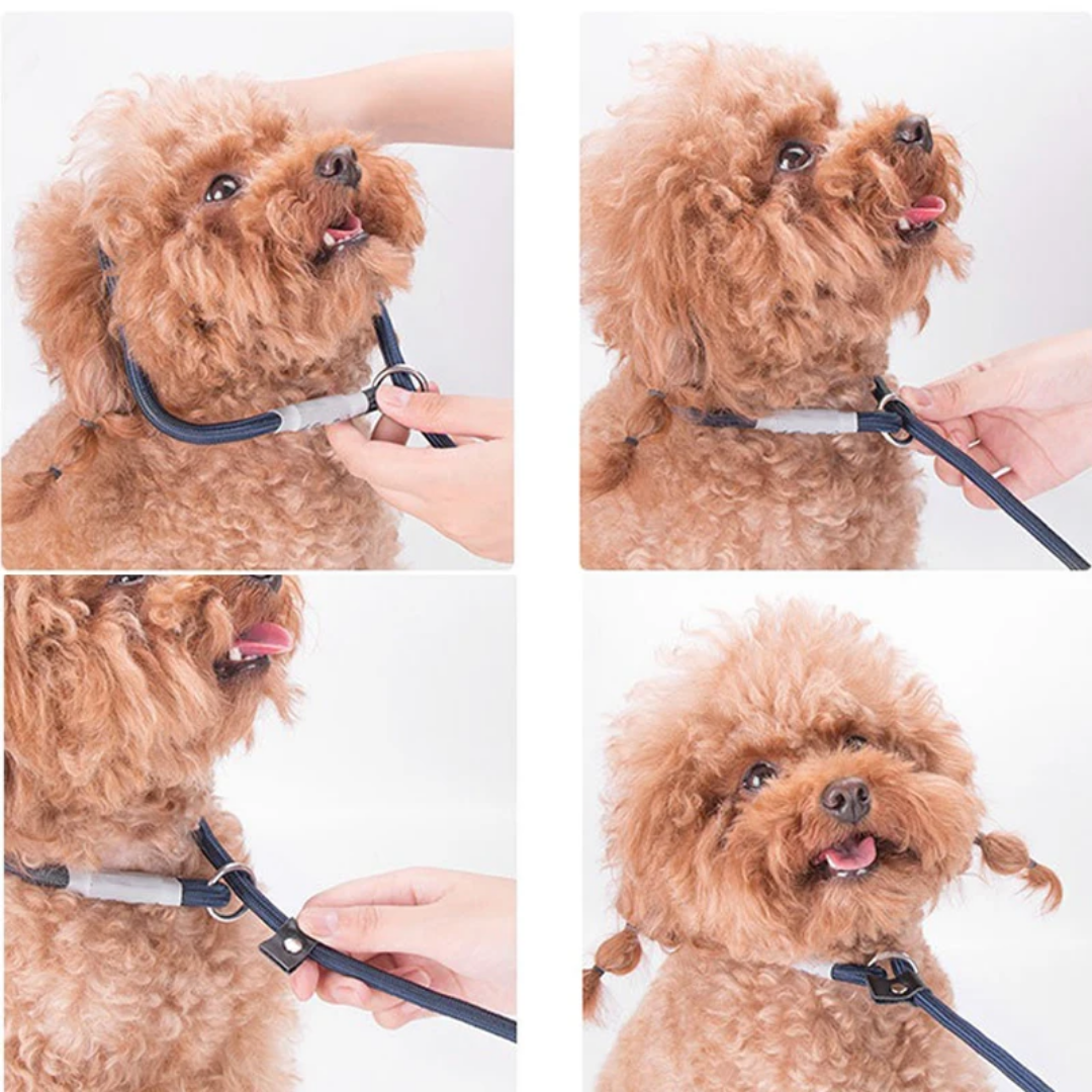 Slip On Rope Training Leash 1x140cm Dog Slip On Rope Training Leash 1x140cm - Image 3
