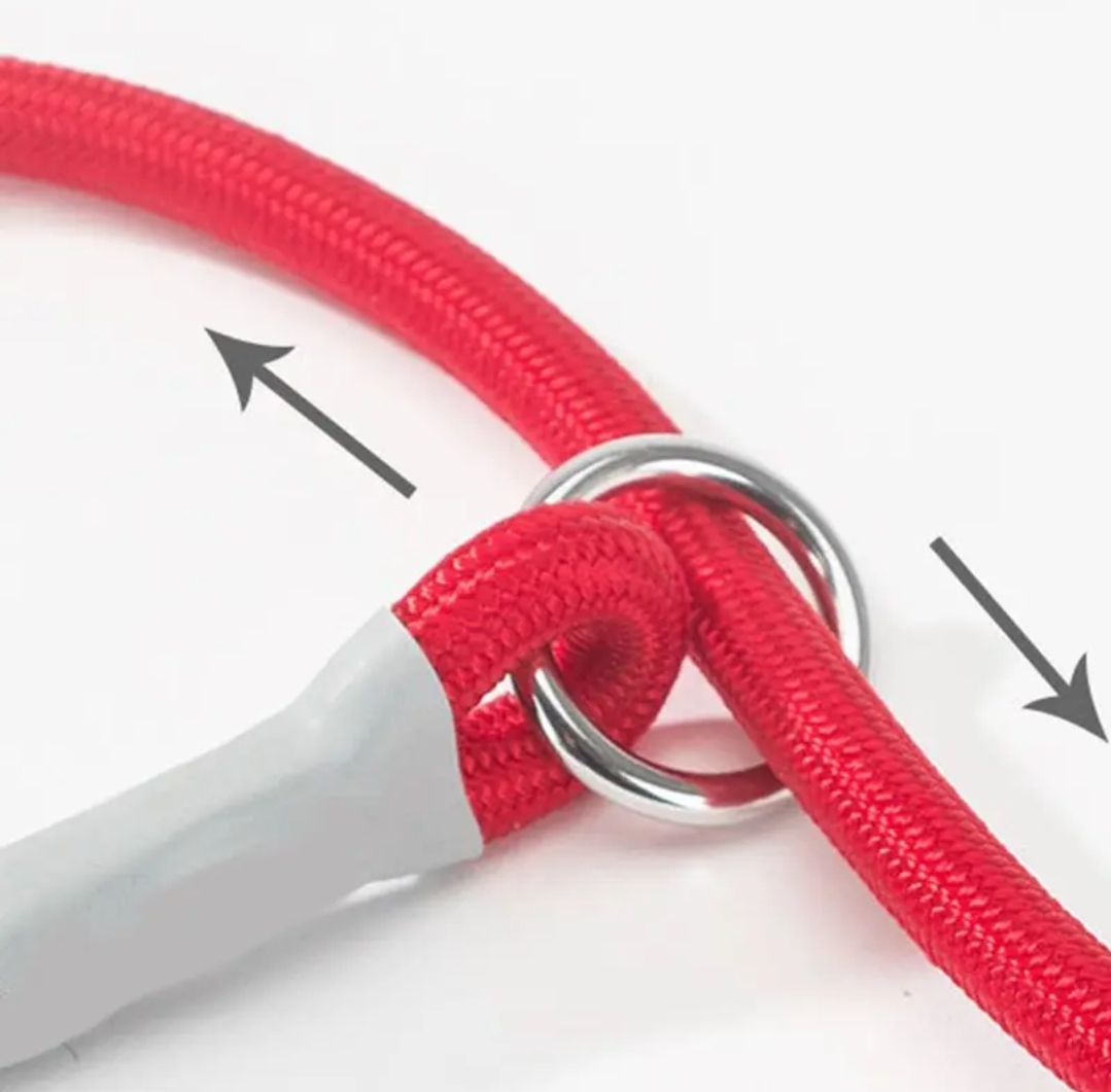 Slip On Rope Training Leash 1x140cm Dog Slip On Rope Training Leash 1x140cm - Image 7