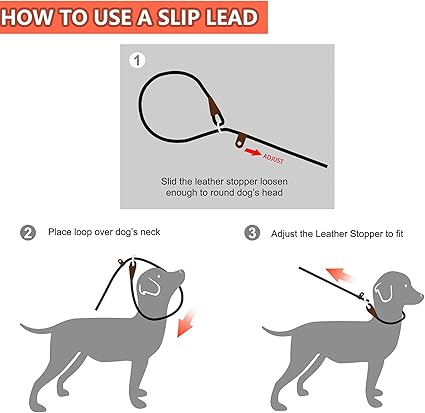 Slip On Rope Training Leash 1x140cm Dog Slip On Rope Training Leash 1x140cm - Image 4