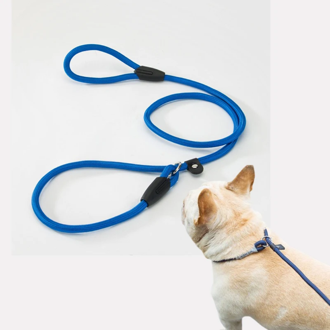 Slip On Rope Training Leash 1x140cm Dog Slip On Rope Training Leash 1x140cm - Image 12