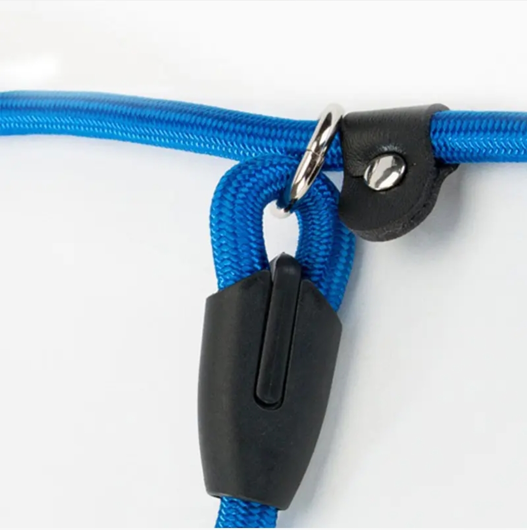 Slip On Rope Training Leash 1x140cm Dog Slip On Rope Training Leash 1x140cm - Image 14