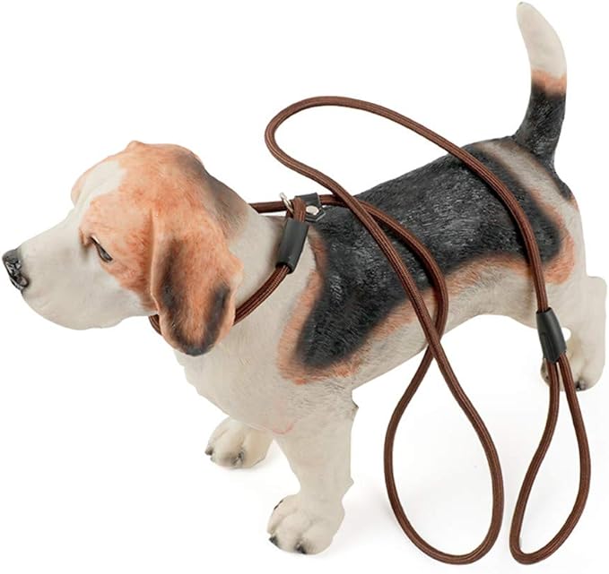 Slip On Rope Training Leash 1x140cm Dog Slip On Rope Training Leash 1x140cm - Image 20
