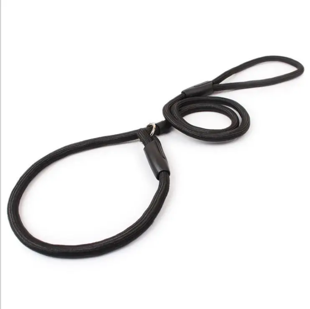 Slip On Rope Training Leash 1x140cm Dog Slip On Rope Training Leash 1x140cm - Image 2