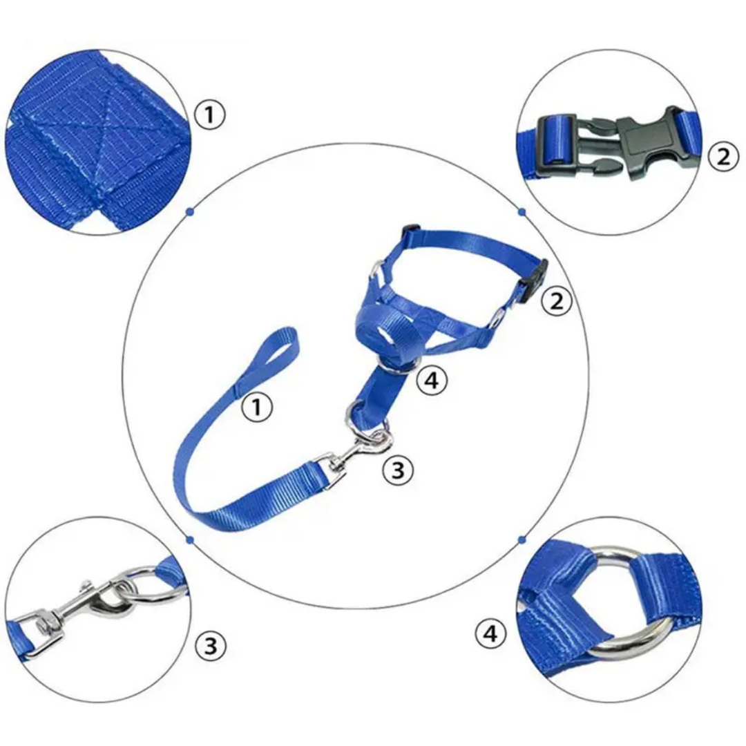 Gentle Leader No Pull Dog Training Collar Collar Gentle Leader No Pull Dog Training Collar - Image 3
