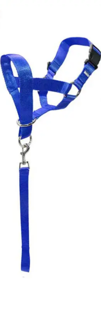 Gentle Leader No Pull Dog Training Collar Collar Gentle Leader No Pull Dog Training Collar - Image 4