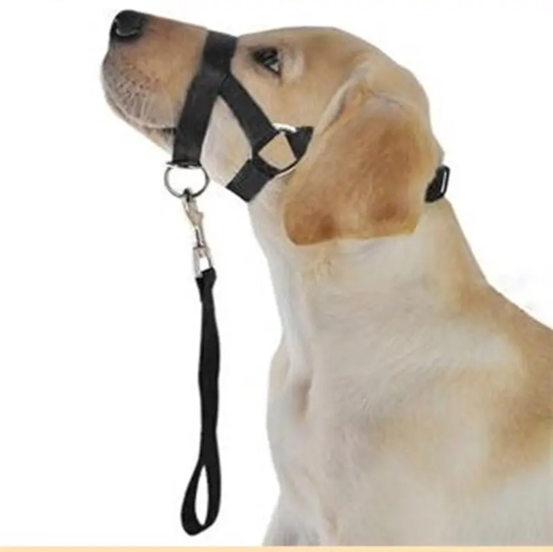 Gentle Leader No Pull Dog Training Collar Collar Gentle Leader No Pull Dog Training Collar - Image 13