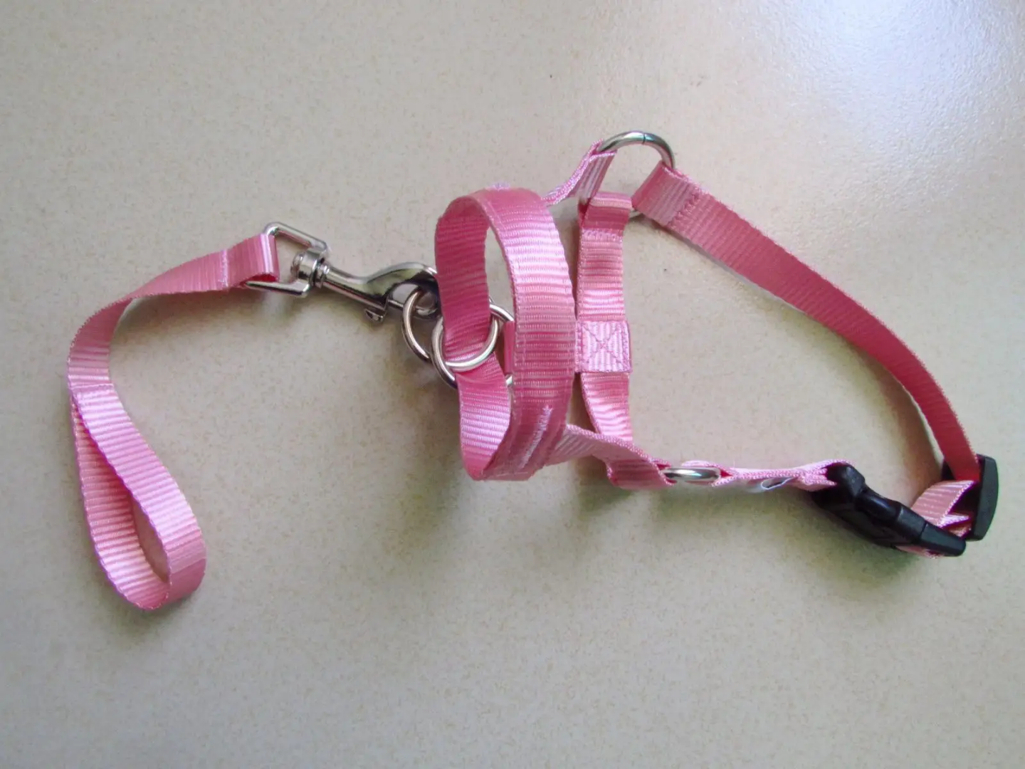 Gentle Leader No Pull Dog Training Collar Collar Gentle Leader No Pull Dog Training Collar - Image 9
