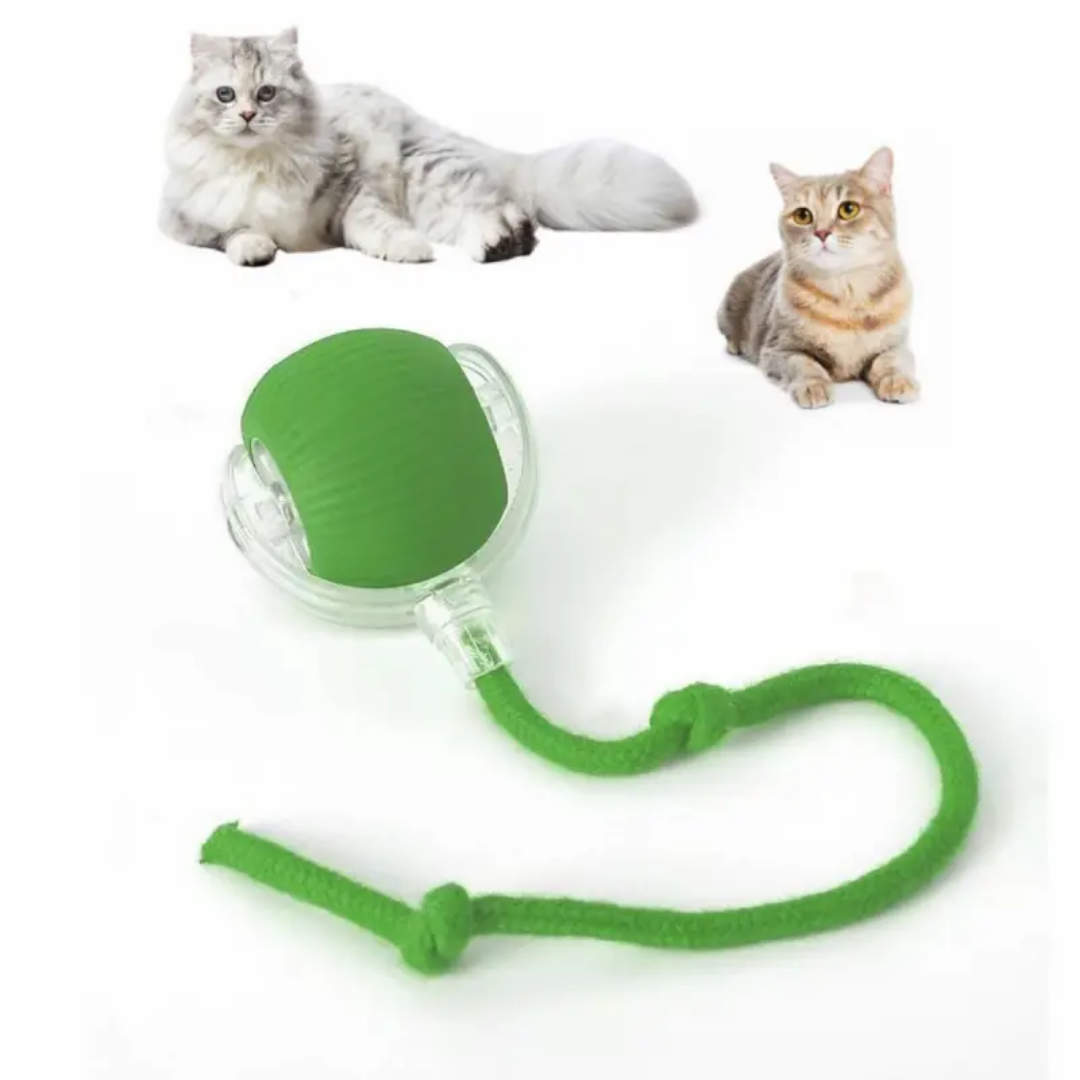 Cat&Dog Smart 360°C Automatic Interactive Ball Tail Toy Red Cat Cat&Dog Smart 360°C Automatic Interactive Ball Tail Toy Red - Image 8