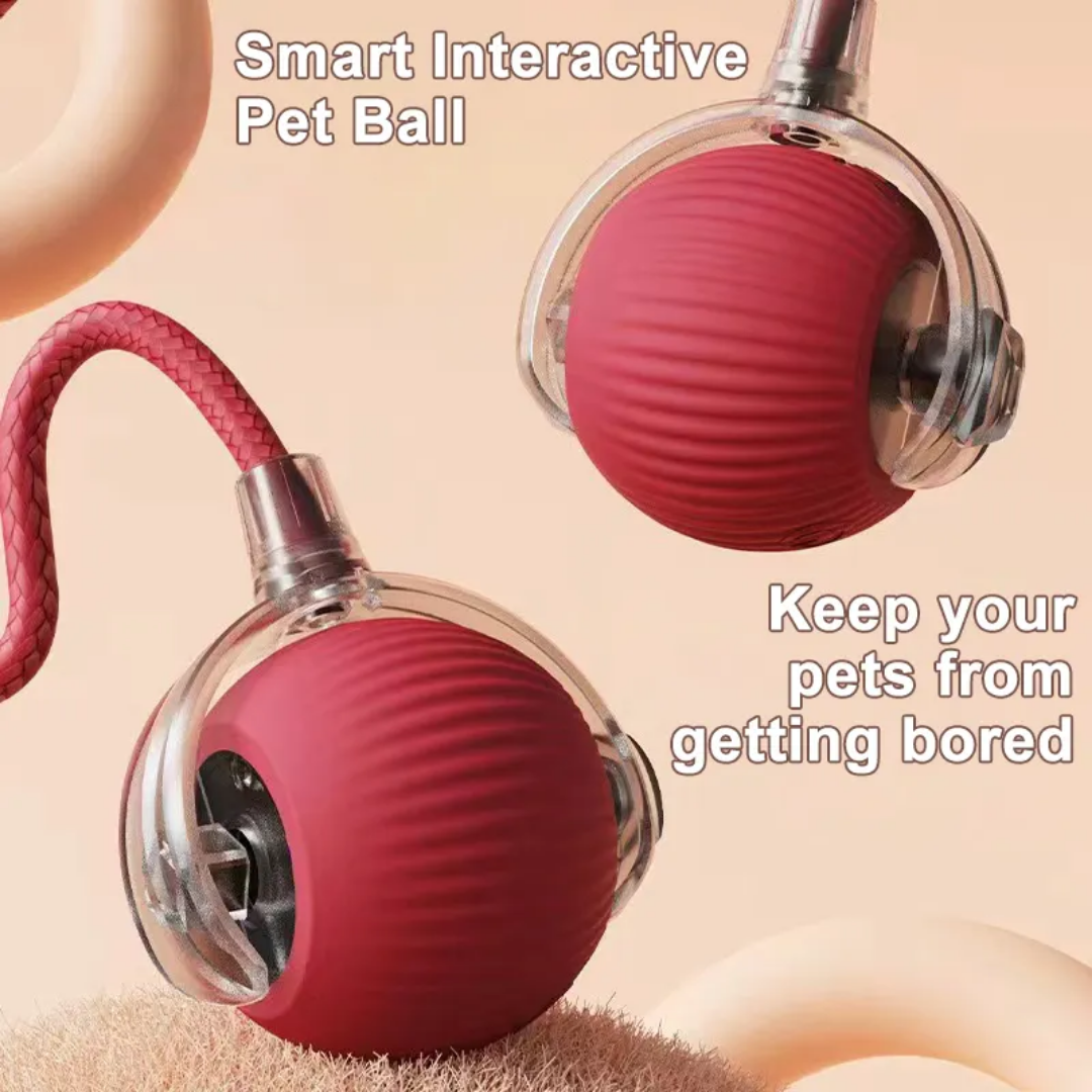 Cat&Dog Smart 360°C Automatic Interactive Ball Tail Toy Red Cat Cat&Dog Smart 360°C Automatic Interactive Ball Tail Toy Red - Image 4