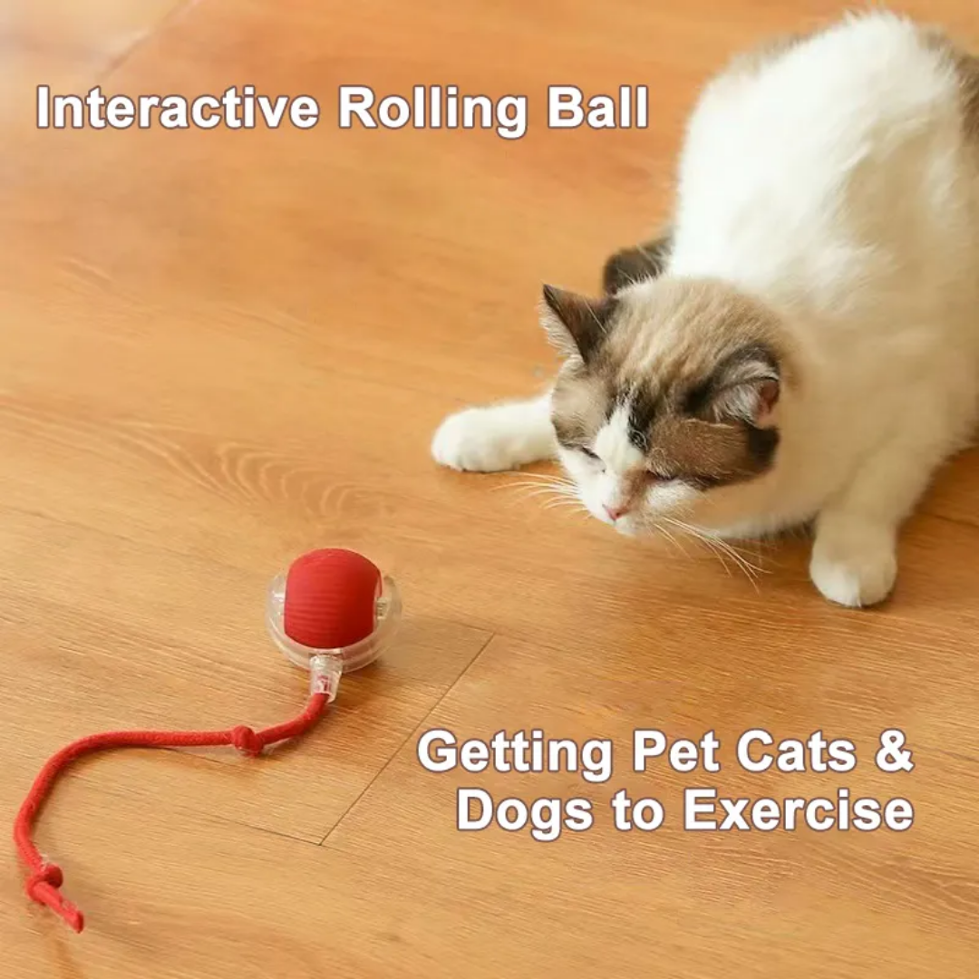 Cat&Dog Smart 360°C Automatic Interactive Ball Tail Toy Red Cat Cat&Dog Smart 360°C Automatic Interactive Ball Tail Toy Red - Image 5