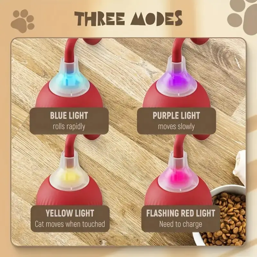 Cat & Dog Smart 360°C Automatic Interactive Ball Fruit Toy Cat Cat & Dog Smart 360°C Automatic Interactive Ball Fruit Toy - Image 8