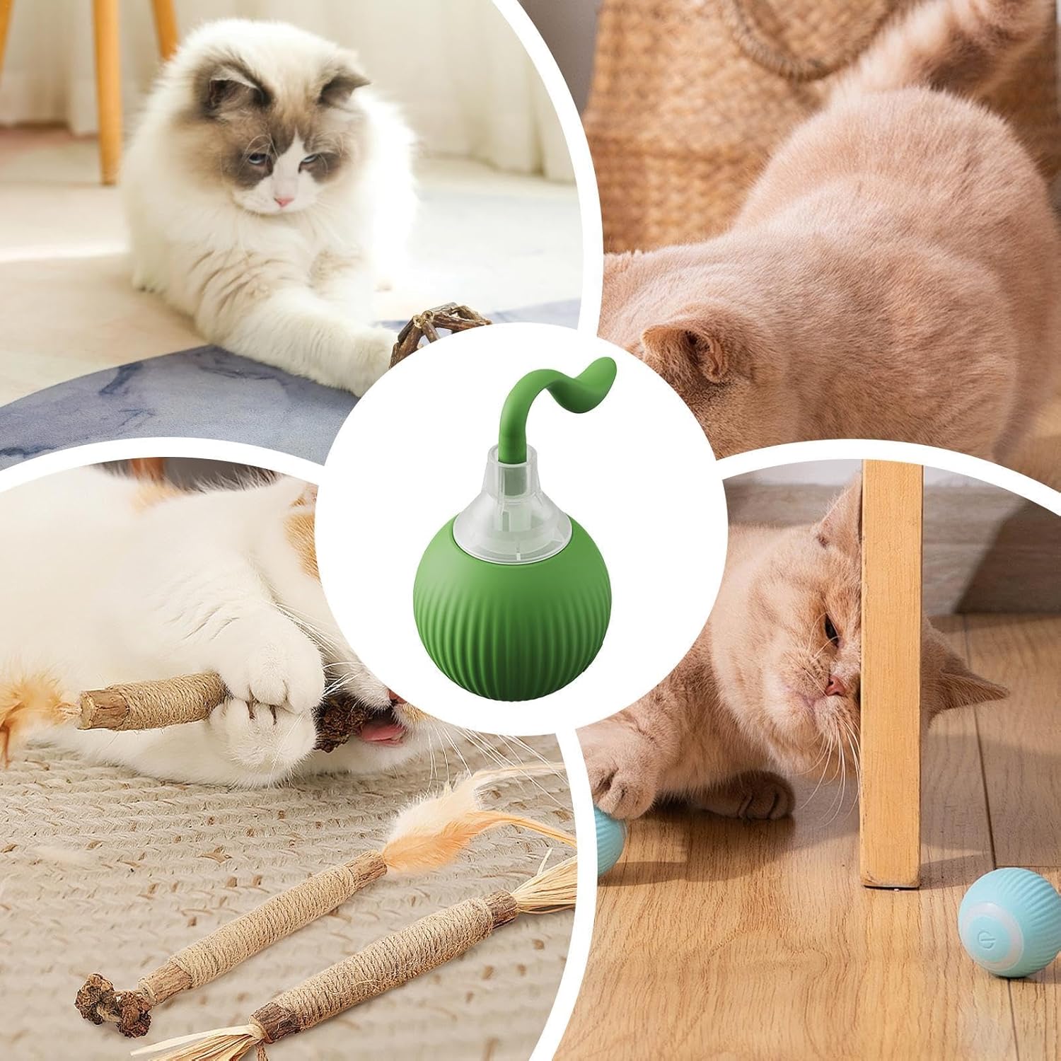 Cat & Dog Smart 360°C Automatic Interactive Ball Fruit Toy Cat Cat & Dog Smart 360°C Automatic Interactive Ball Fruit Toy - Image 4