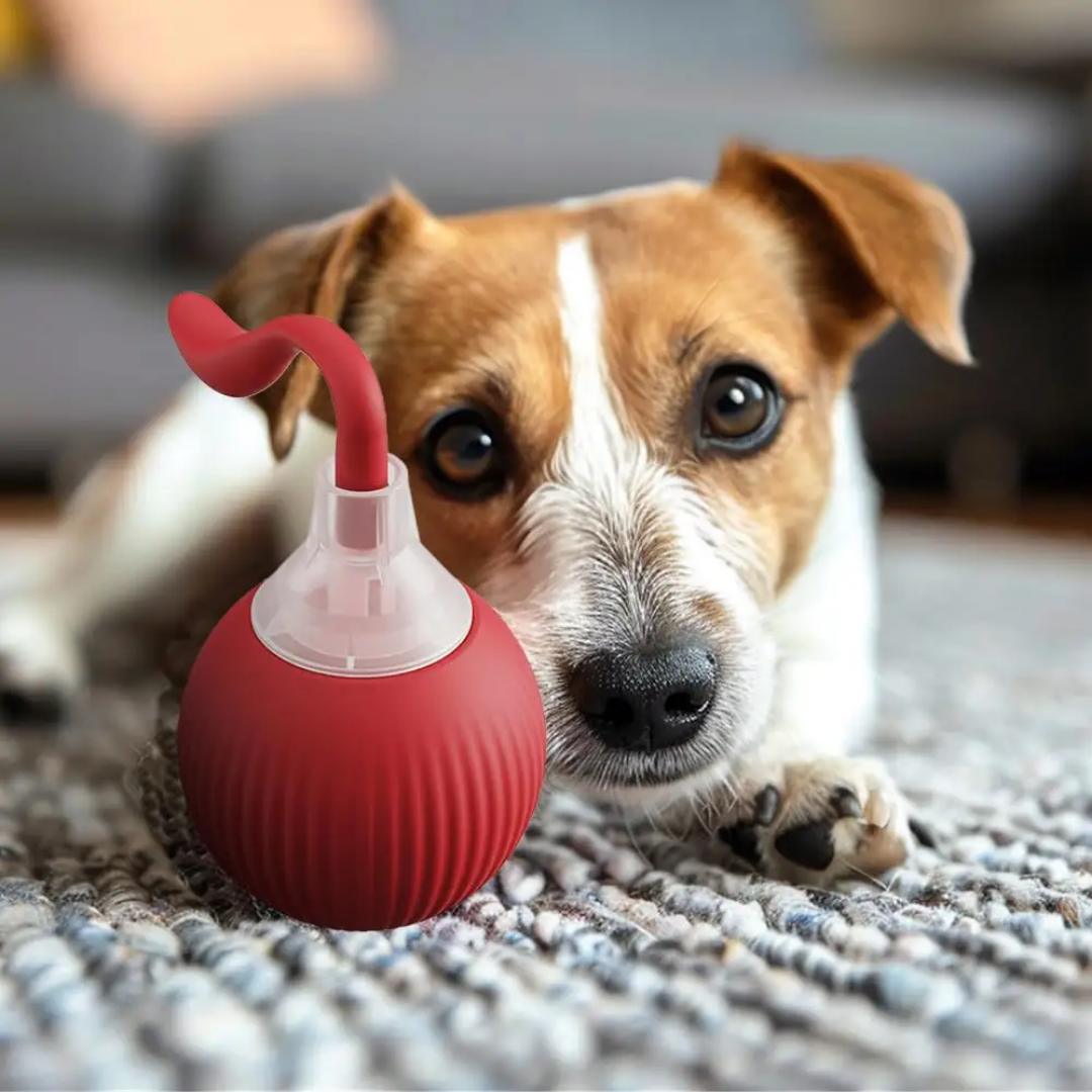 Cat & Dog Smart 360°C Automatic Interactive Ball Fruit Toy Cat Cat & Dog Smart 360°C Automatic Interactive Ball Fruit Toy - Image 11