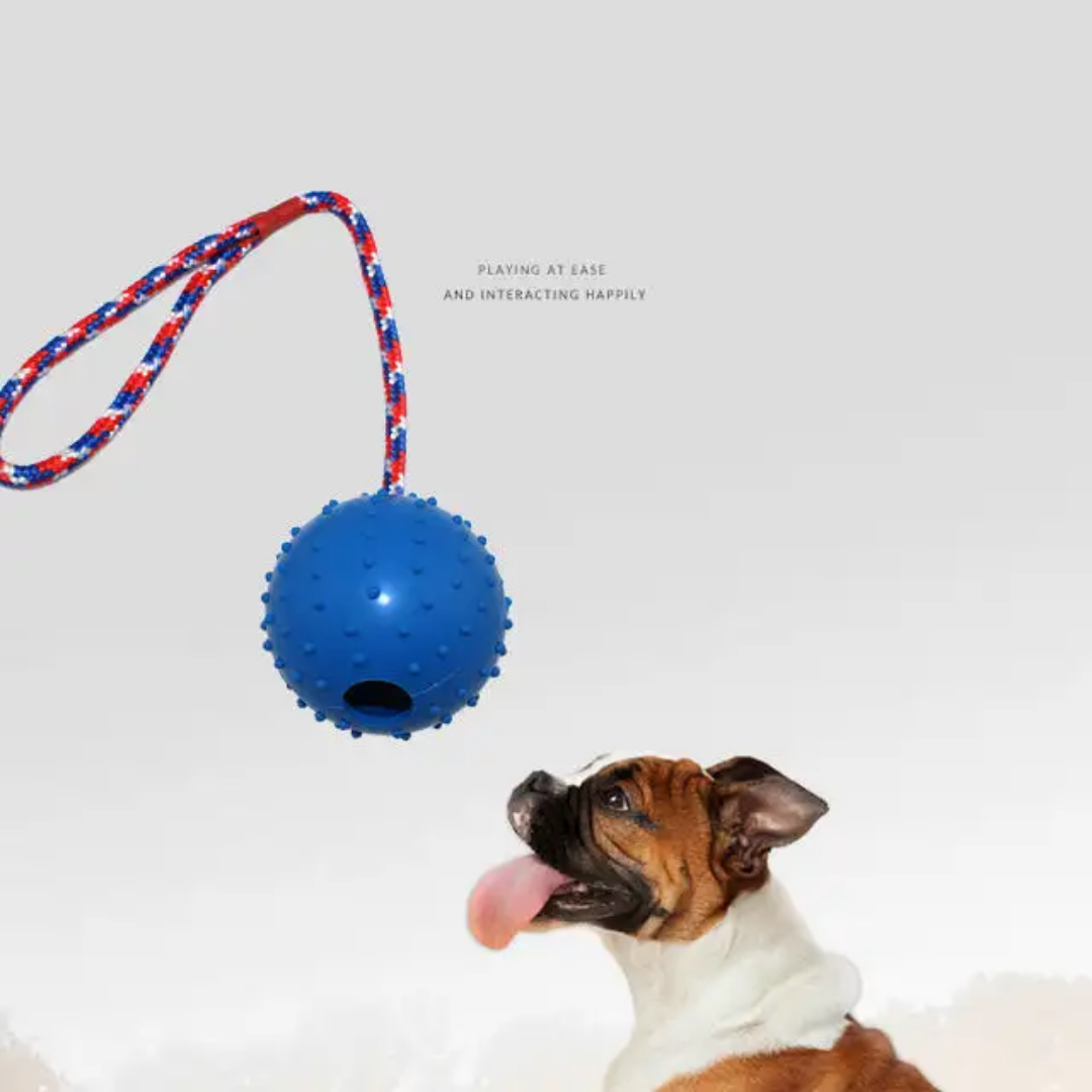 Bite Resistant Interactive Reward Fetch Ball Toy Dog Bite Resistant Interactive Reward Fetch Ball Toy - Image 13