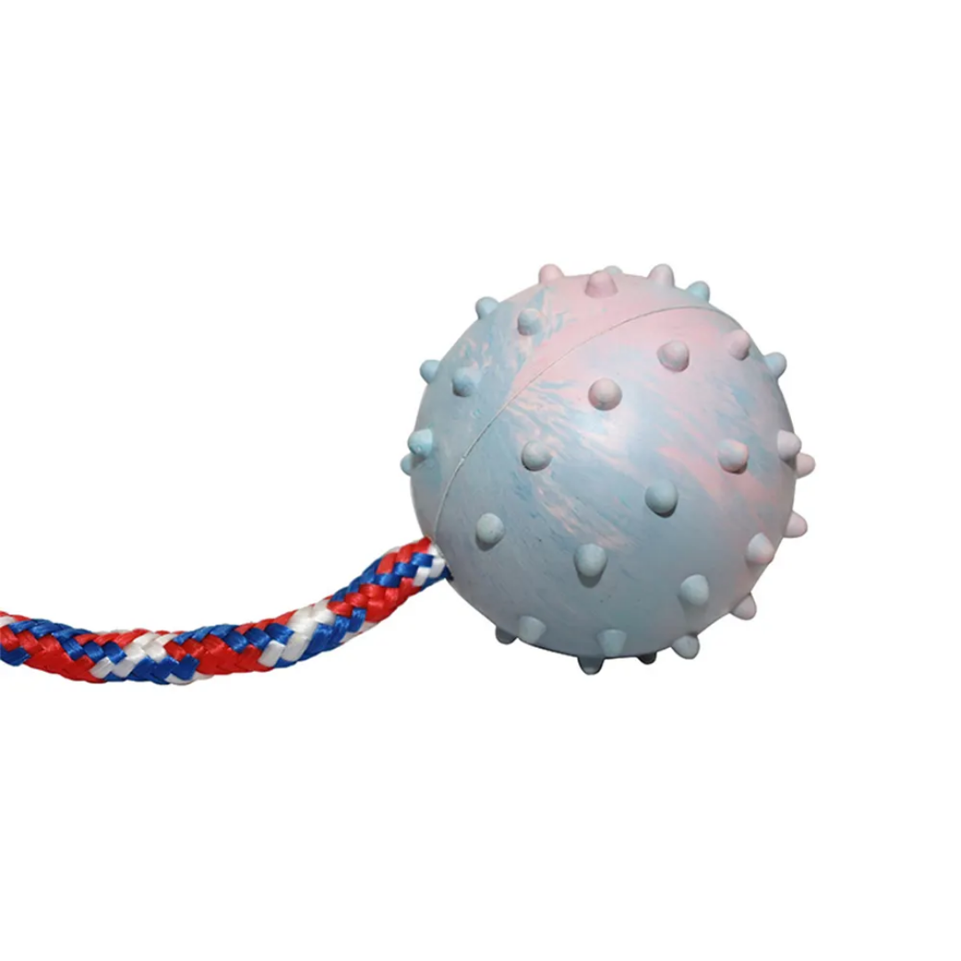 Bite Resistant Interactive Reward Fetch Ball Toy Dog Bite Resistant Interactive Reward Fetch Ball Toy - Image 8