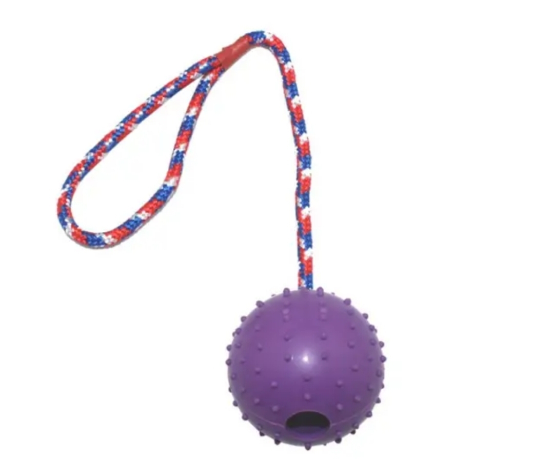 Bite Resistant Interactive Reward Fetch Ball Toy Dog Bite Resistant Interactive Reward Fetch Ball Toy - Image 9