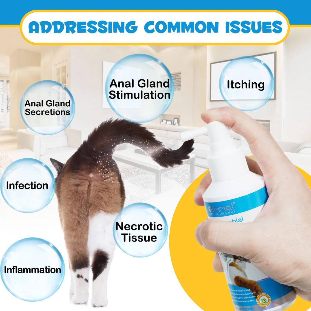 Oimmal Antimicrobial Anal Gland Cat Treatment Spray 4.4 fl oz/120ml Cat Oimmal Antimicrobial Anal Gland Cat Treatment Spray 4.4 fl oz/120ml - Image 2