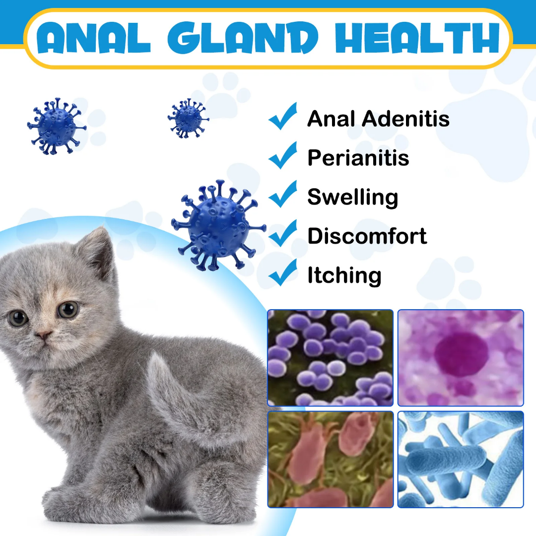 Oimmal Antimicrobial Anal Gland Cat Treatment Spray 4.4 fl oz/120ml Cat Oimmal Antimicrobial Anal Gland Cat Treatment Spray 4.4 fl oz/120ml - Image 5