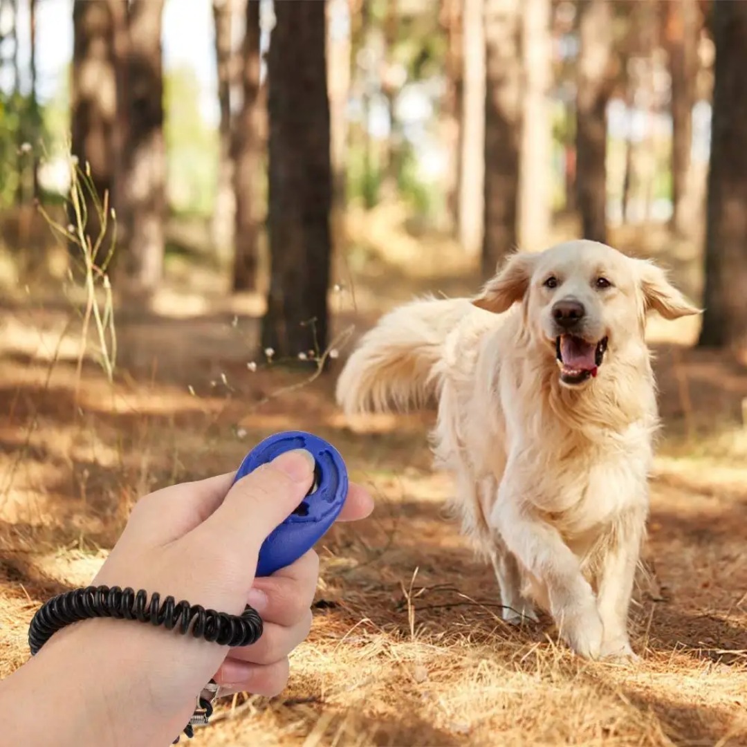 2 in 1 Dog&Cat Clicker Training Whistle Cat 2 in 1 Dog&Cat Clicker Training Whistle - Image 4