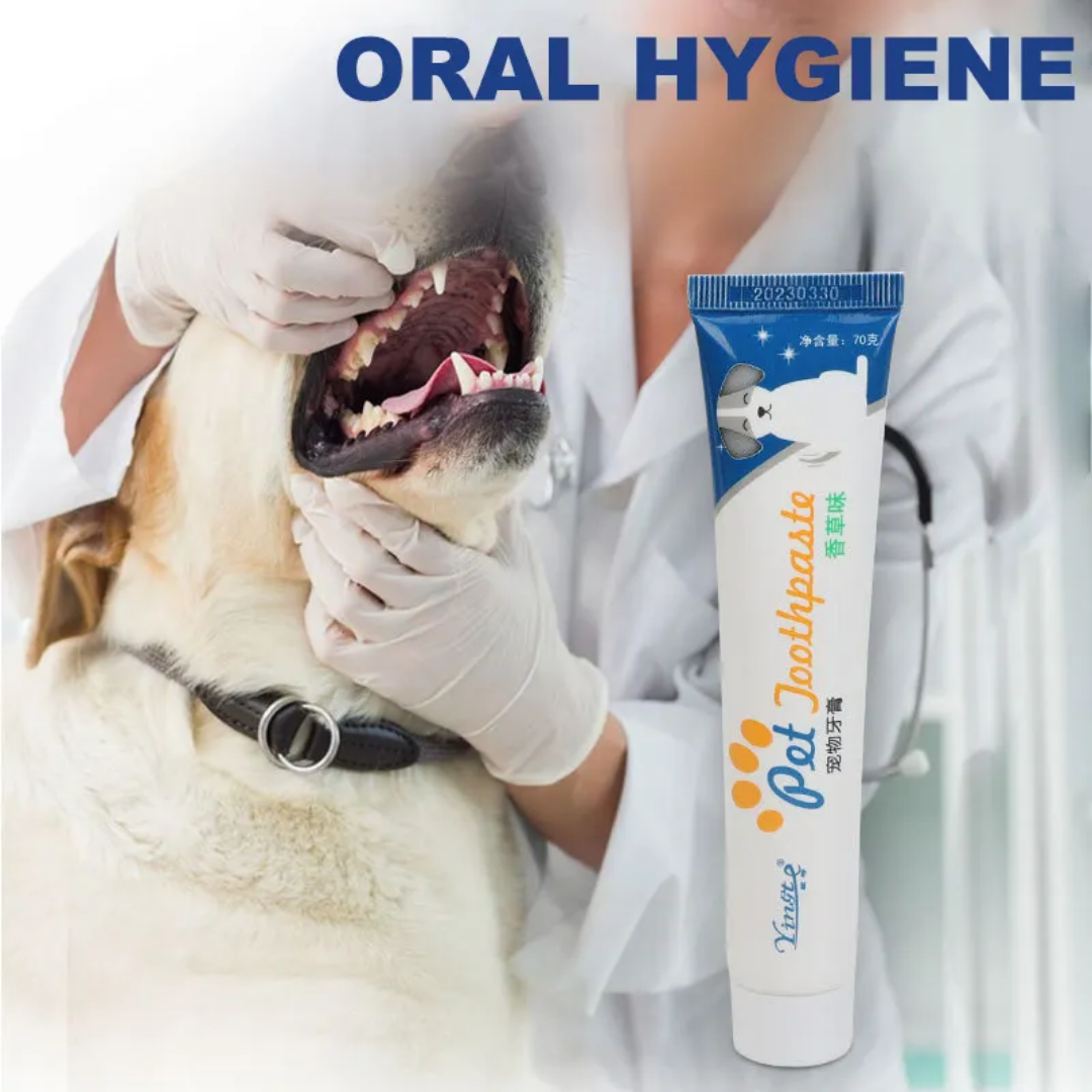 Yingte Dog Toothpaste 70g Dog Yingte Dog Toothpaste 70g - Image 3