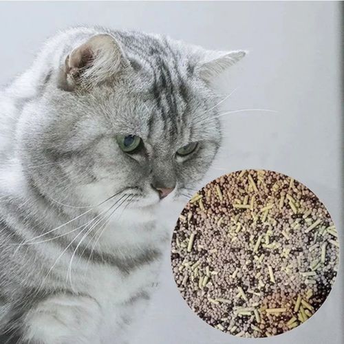 Cat Bead Deodoriser Odour Eliminator Backpack, Bag, Home and Travel Cat Bead Deodoriser Odour Eliminator - Image 8