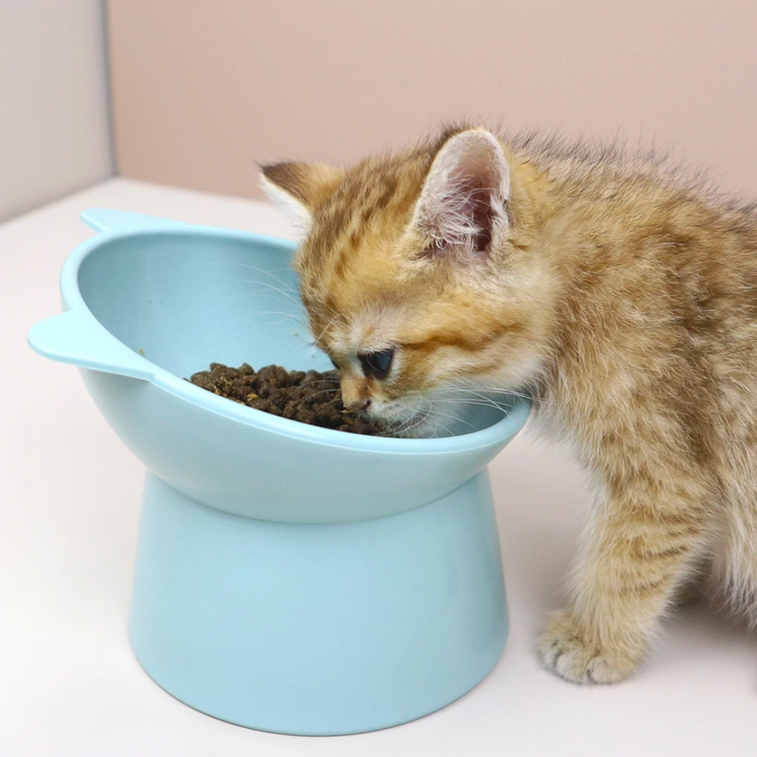 15-Degree Tilt Elevated Plastic Raised Cat Dishes Bowls 15-Degree Tilt Elevated Plastic Raised Cat Dishes - Image 7