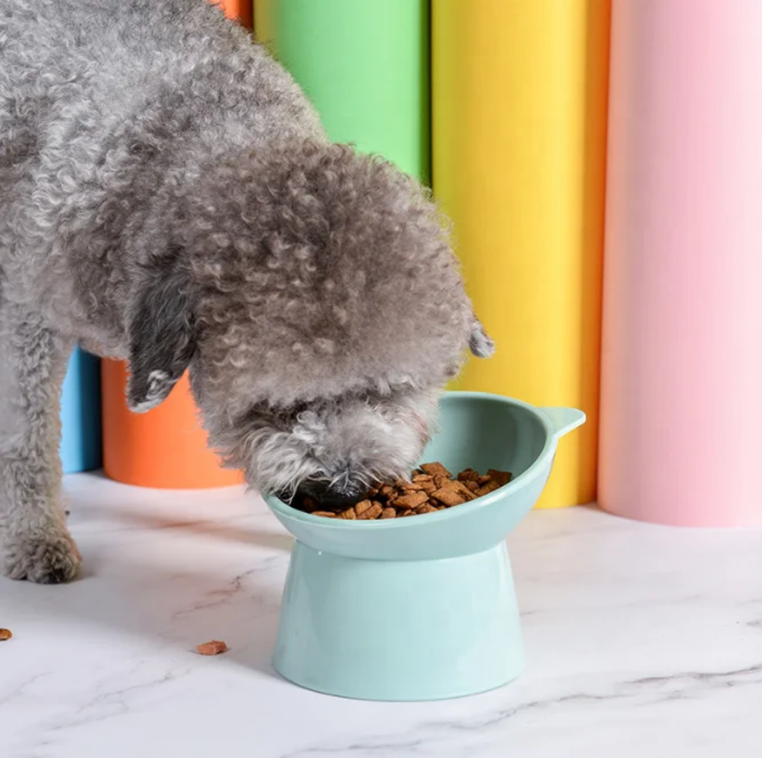 15-Degree Tilt Elevated Plastic Raised Cat Dishes Bowls 15-Degree Tilt Elevated Plastic Raised Cat Dishes - Image 9