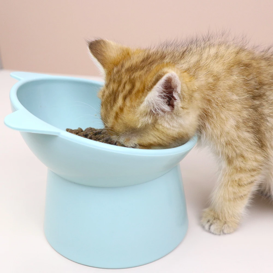 15-Degree Tilt Elevated Plastic Raised Cat Dishes Bowls 15-Degree Tilt Elevated Plastic Raised Cat Dishes - Image 8