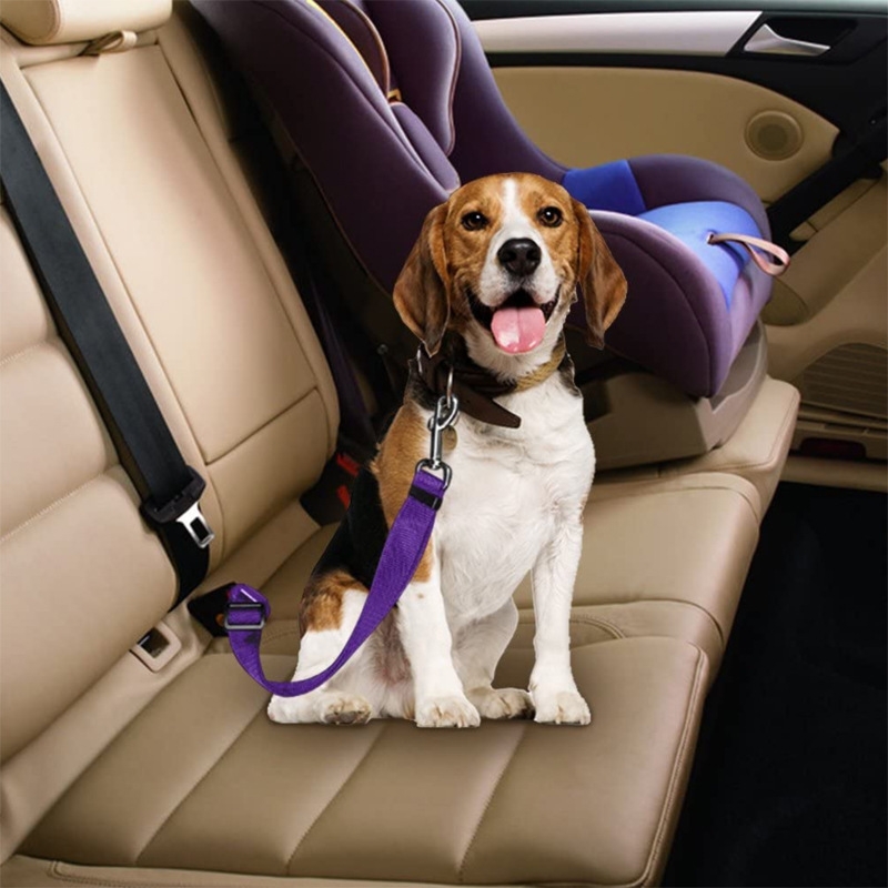 Dog Adjustable Car Seat Belt Leash Safety Clip 2.5x70cm Dog Dog Adjustable Car Seat Belt Leash Safety Clip 2.5x70cm - Image 20