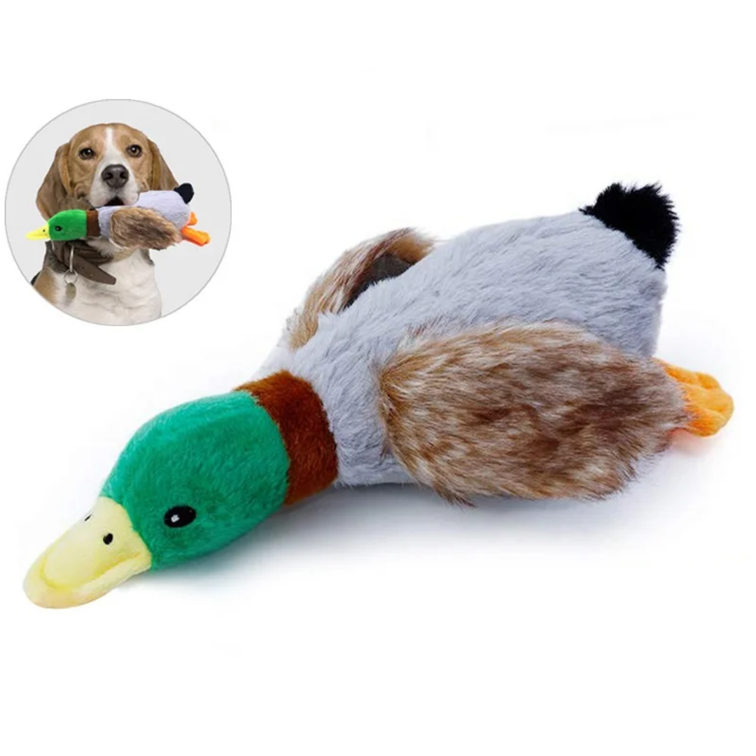 TD Plush Stimulated Wild Squeaky Duck Toy Dog TD Plush Stimulated Wild Squeaky Duck Toy - Image 3