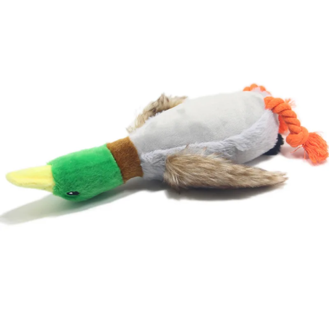 TD Plush Stimulated Wild Squeaky Duck Toy Dog TD Plush Stimulated Wild Squeaky Duck Toy - Image 8
