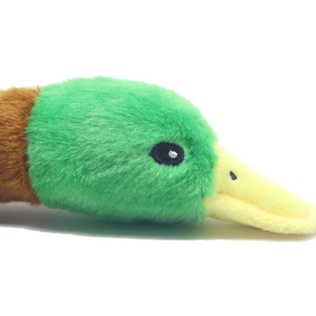 TD Plush Stimulated Wild Squeaky Duck Toy Dog TD Plush Stimulated Wild Squeaky Duck Toy - Image 9