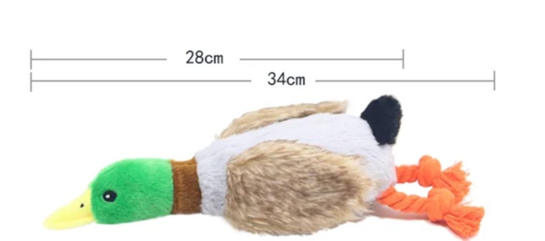 TD Plush Stimulated Wild Squeaky Duck Toy Dog TD Plush Stimulated Wild Squeaky Duck Toy - Image 10