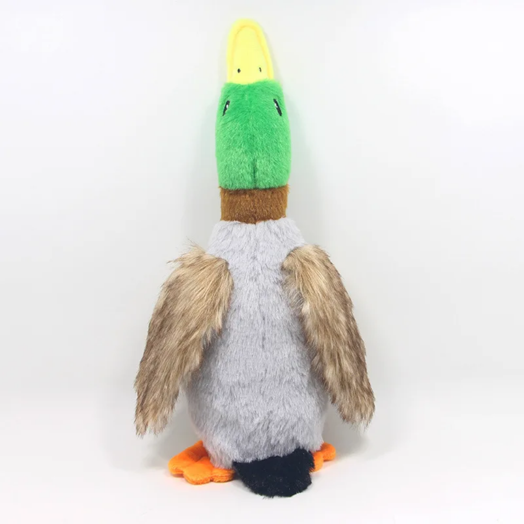 TD Plush Stimulated Wild Squeaky Duck Toy Dog TD Plush Stimulated Wild Squeaky Duck Toy - Image 2