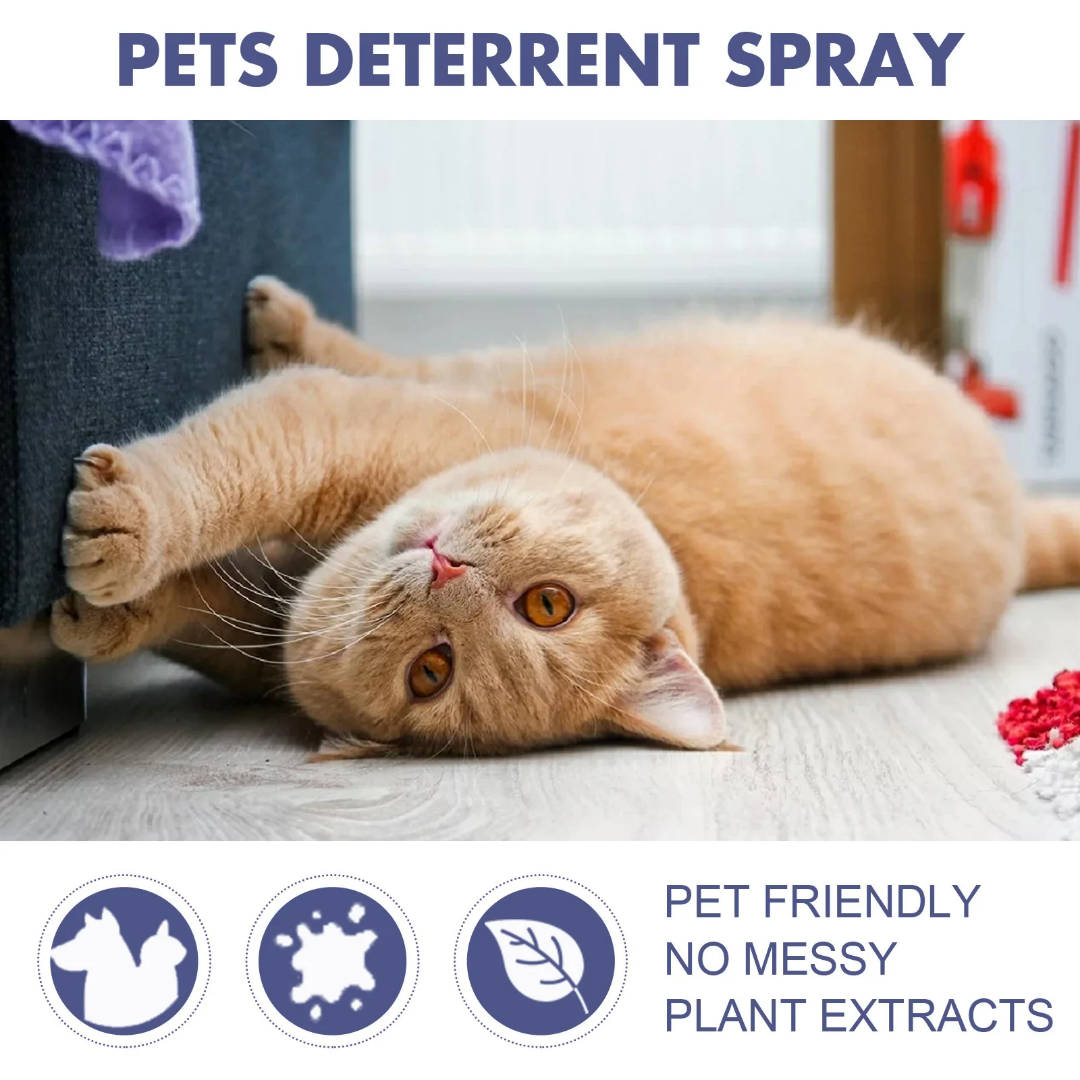 Cat Deterrent Spray 50ml Cat Cat Deterrent Spray 50ml - Image 4