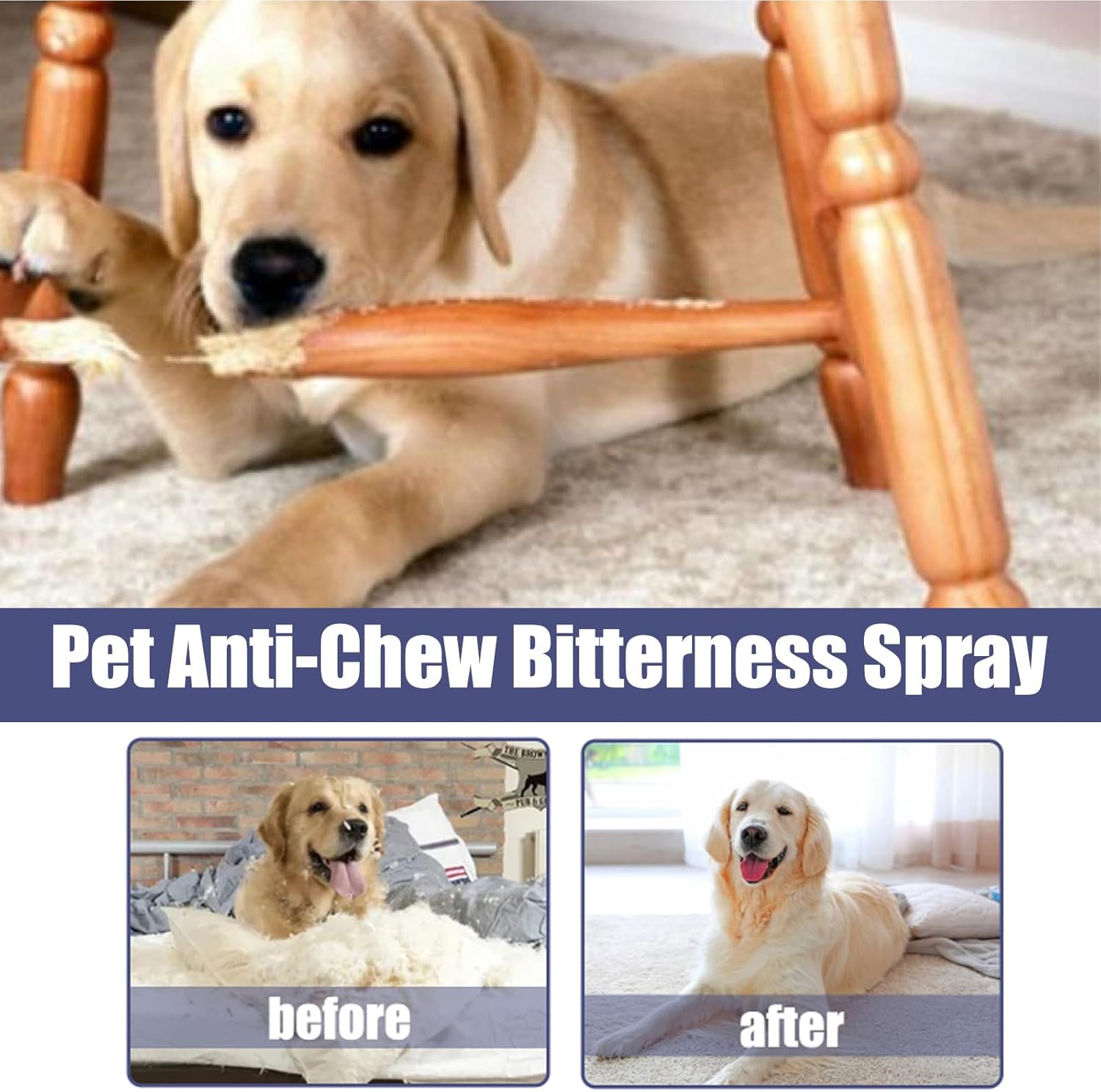 Yegbong Dog Anti Chew Bitterness Spray 50ml Dog Yegbong Dog Anti Chew Bitterness Spray 50ml - Image 4