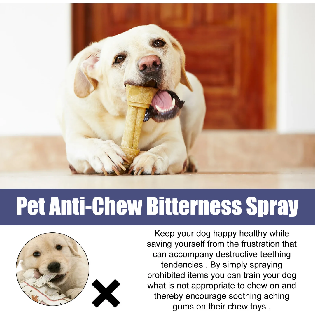 Yegbong Dog Anti Chew Bitterness Spray 50ml Dog Yegbong Dog Anti Chew Bitterness Spray 50ml - Image 6